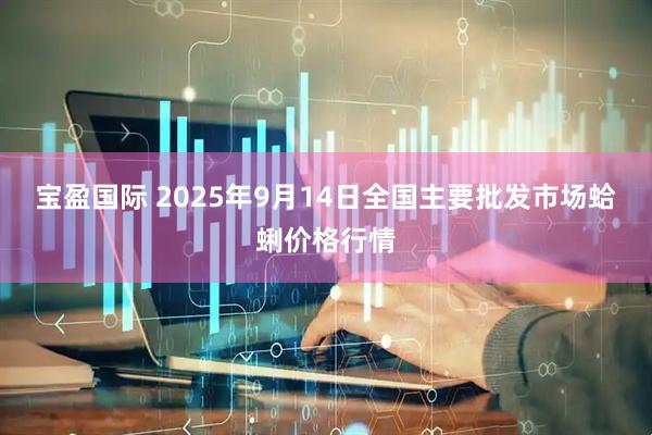 宝盈国际 2025年9月14日全国主要批发市场蛤蜊价格行情