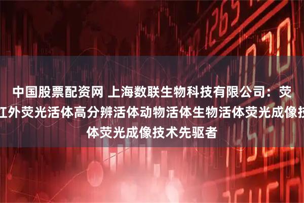 中国股票配资网 上海数联生物科技有限公司：荧光活体近红外荧光活体高分辨活体动物活体生物活体荧光成像技术先驱者