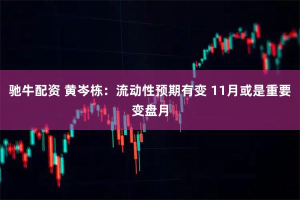 驰牛配资 黄岑栋:流动性预期有变 11月或是重要变盘月